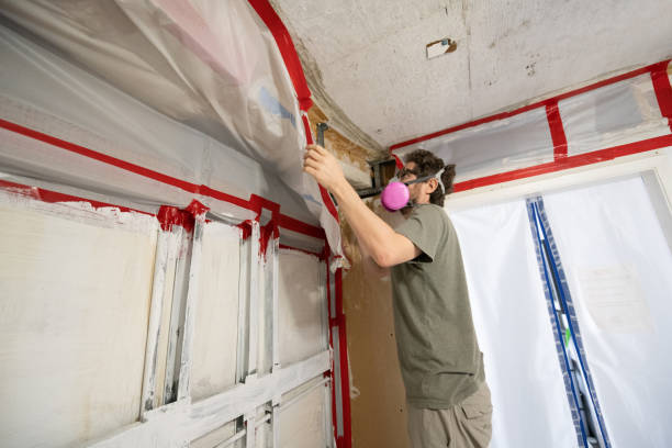 Mold Documentation for Insurance Claims in Charleston, IL